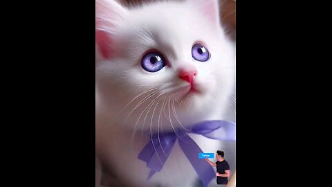 super_#cute_#kittem_#(2024)🐾😻