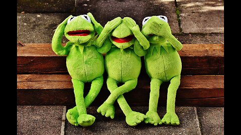 Funny videos