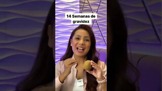 14ª Semanas de gravidez #shorts
