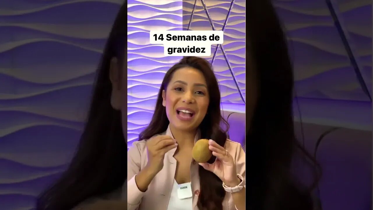 14ª Semanas de gravidez #shorts