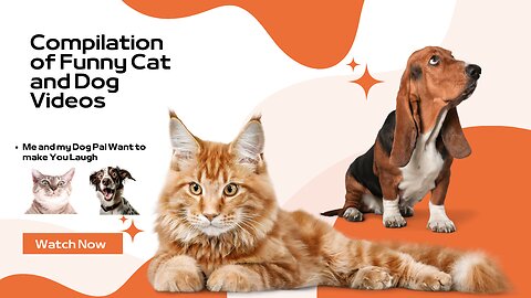😂3. Funny Cats And Dogs 3 4 😂 l The Funniest Animals😂