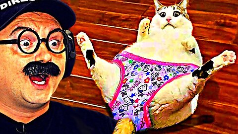 FUNNY VIDEOS that CHEER YOU UP!