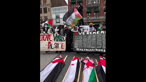 Pro-Hamas Protestors Invade NYC
