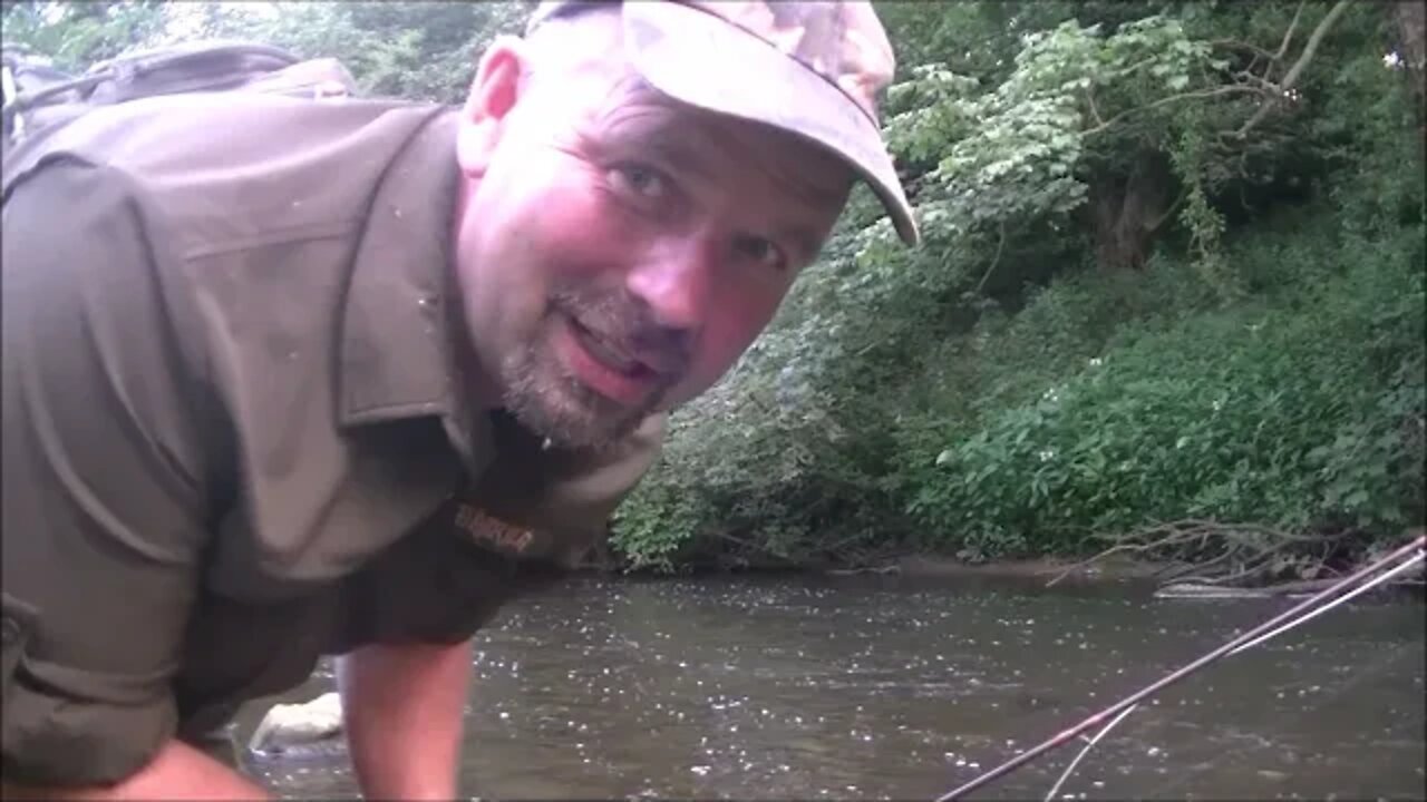 UK Trout Fishing - Trout at Dusk