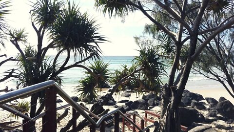 AUSTRALIA | Coolangatta Beach...