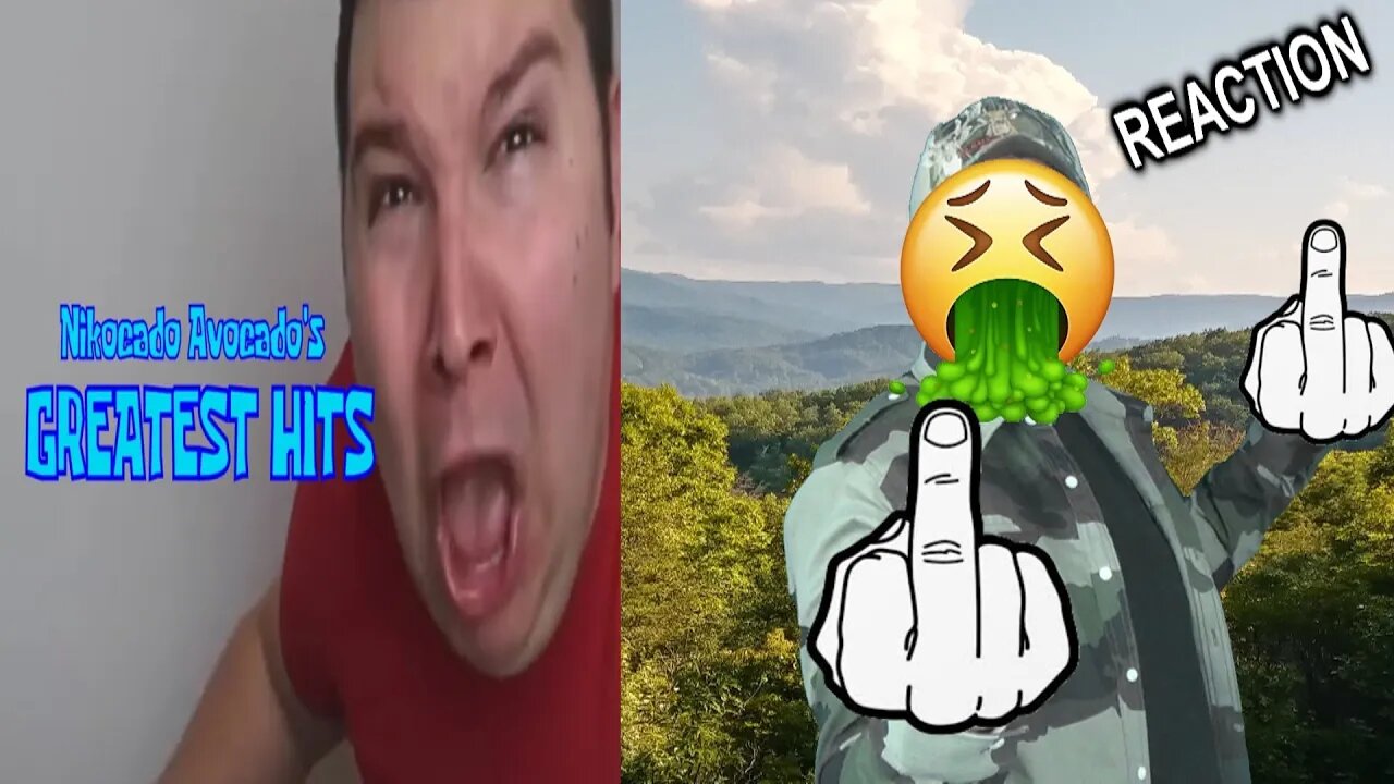 Nikocado Avocado's Greatest Hits - A YTP Compilation REACTION!!! (BBT)