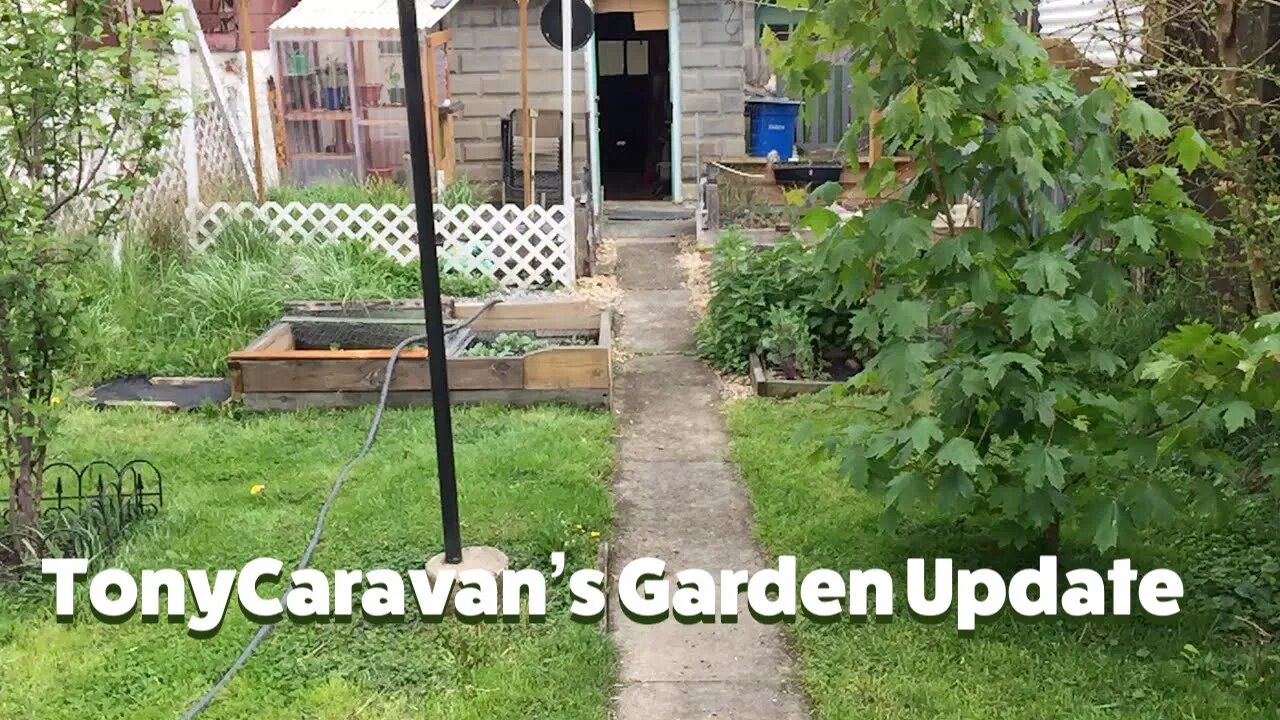 Tony C's May 4th 2021 Garden Update