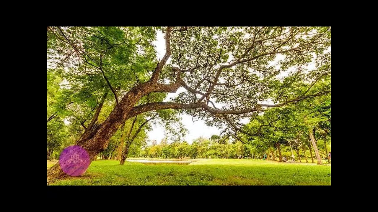 Sounds of Nature and Tibetan Bowls | Sound Healing | Nature in Harmony