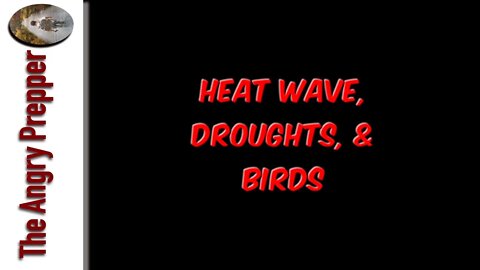 Heat Waves, Droughts, & Birds