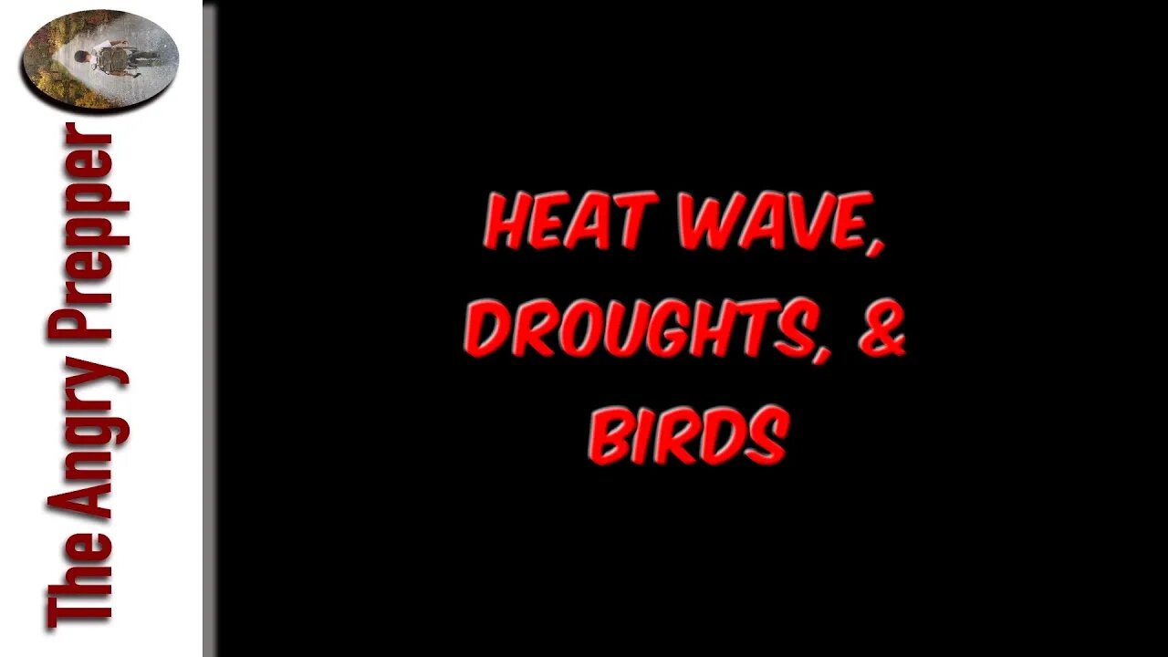 Heat Waves, Droughts, & Birds