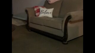 My puppy’s favorite thing is the plunger!