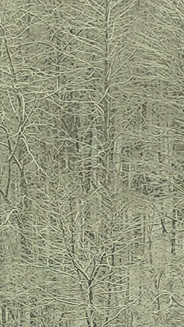 03/06/24 Scripture of the day