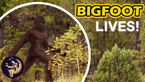 Interesting Facts About Bigfoot!