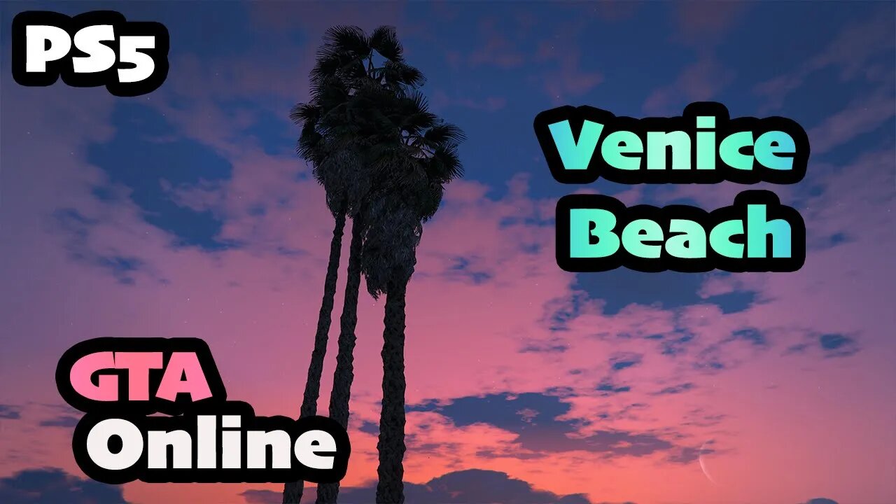 NEW Gta Online Walk on Venice Beach | Third Generation PS5 freeroam