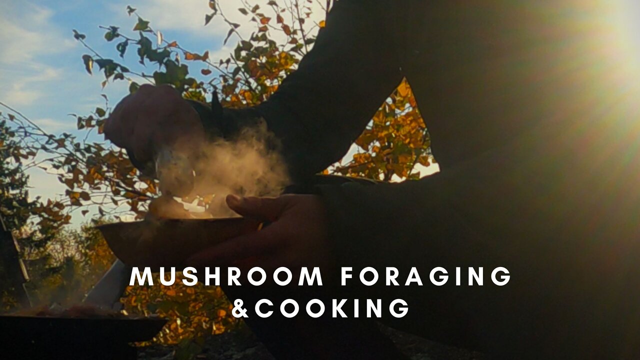 MUSHROOM FORAGING AND COOKING