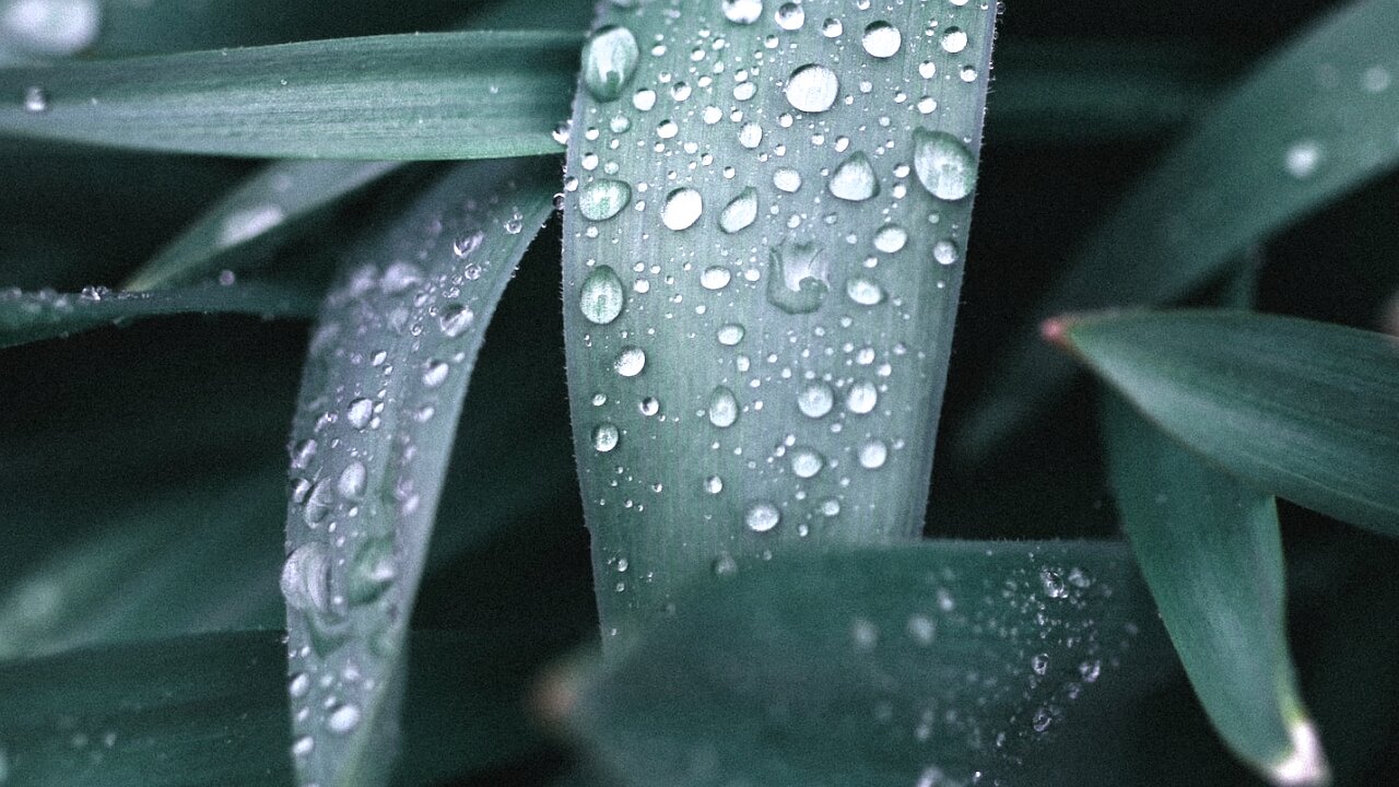 10 Hours of Heavy Rainfall on a Black Screen for Relaxation