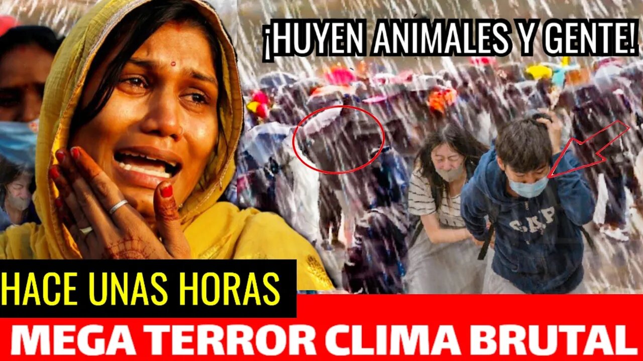 TERROR HUYEN ANIMALES Y PERSONAS PUEBLOS ENTERRADOS! NO SE LO ESPERABAN