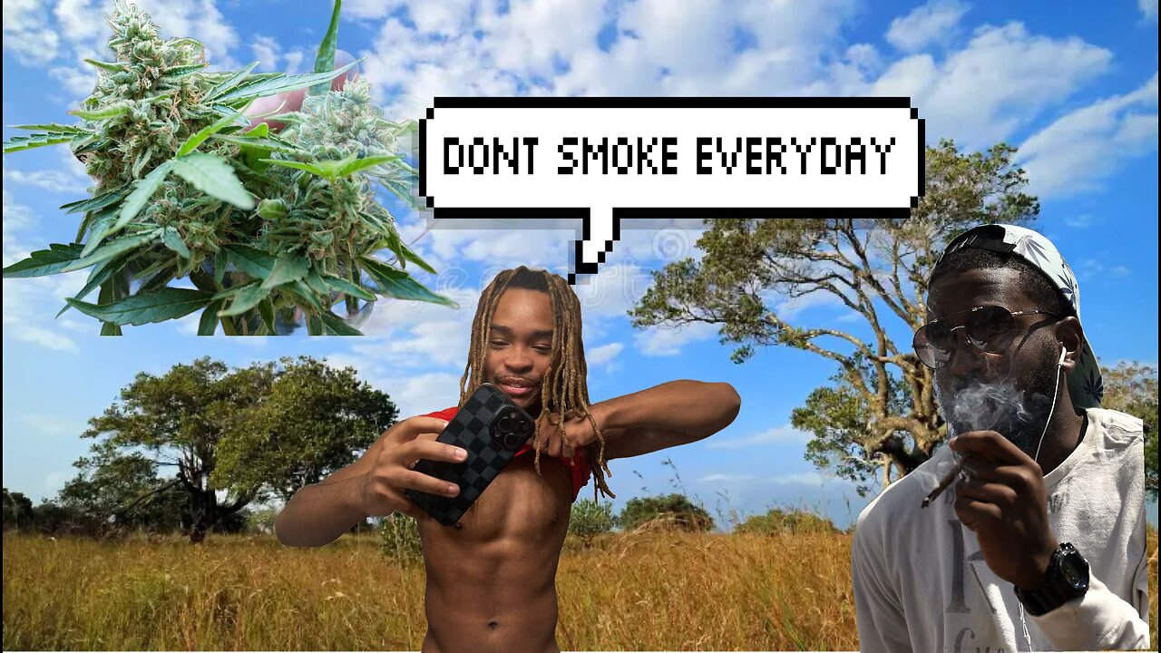 Why you SHOULDN’T SMOKE WEED everyday (Important INFO)