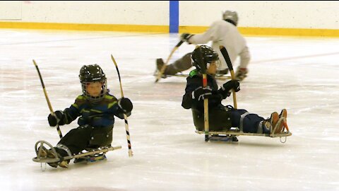 Hockey sur luge « Les Lumberjacks »