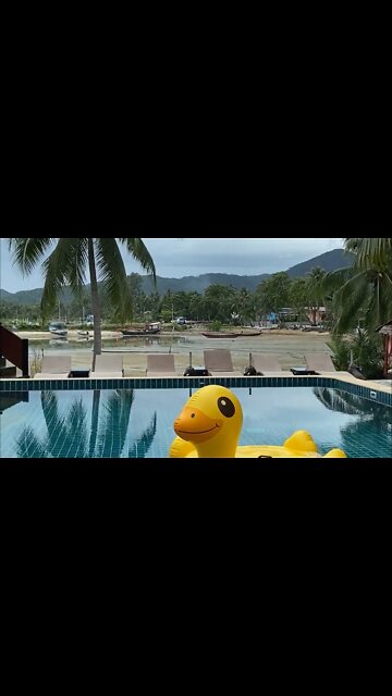 new and latest||seen swim duck farst