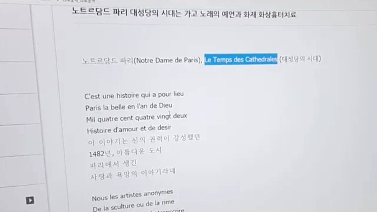 노트르담 대성당의 시대는 가고 노래 예언과 화재 화상흉터침 Bt 침 치료