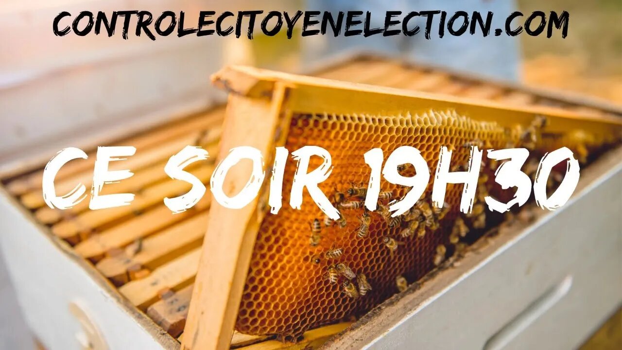 controlecitoyenelection.com. La ruche parle aux abeilles