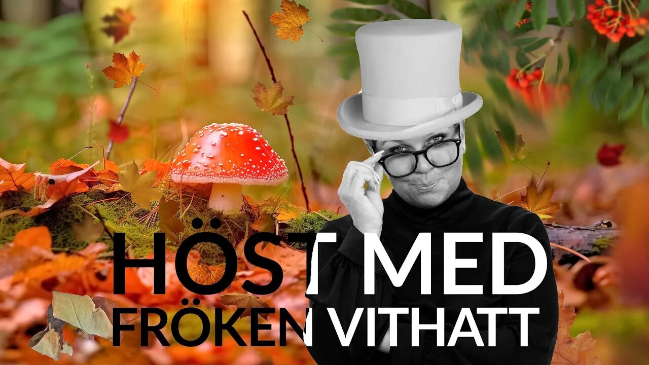 Live - Höst med fröken vithatt 18 okt - medborgarlön