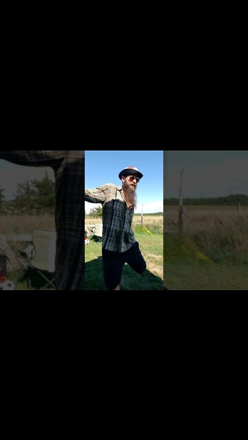 #skitsbystrangedanimal