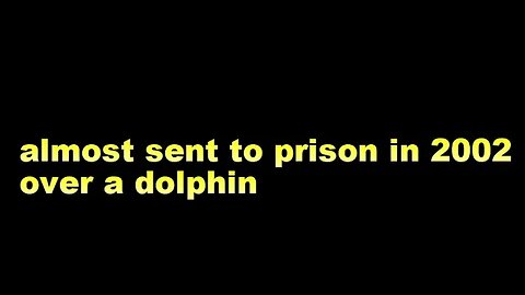 almost sent to prison in 2002 over a dolphin