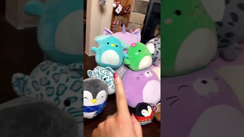 Sharing A Tiny Portion Of Our Squishmallow Collection With You! Who Wants To See Them All? #shorts