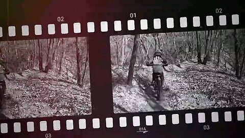 Biker in park