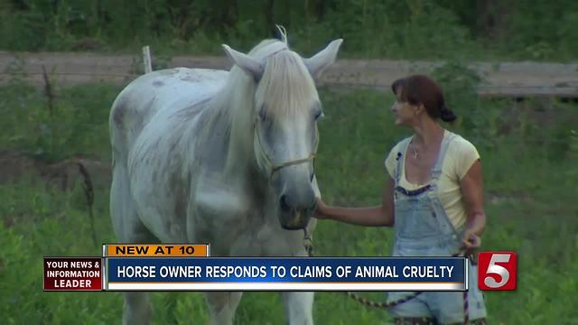 Horse And Carriage Owner Speaks Out Amid Viral Photo