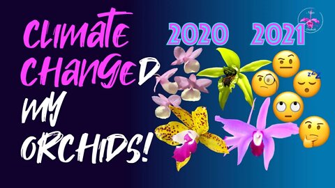 Grow Season 2021 Recap | Climate Change & my #orchids | Examples explained #ShowandTell 🤔🧐