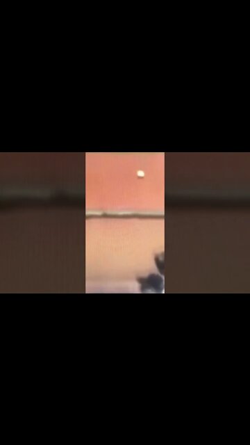 Young Fan Saves Dad!!!