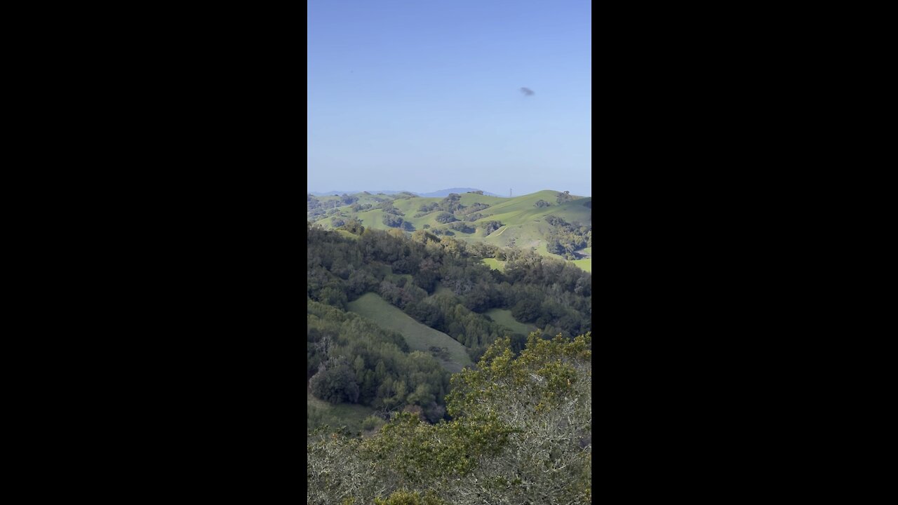 Green Rolling Hills in Briones