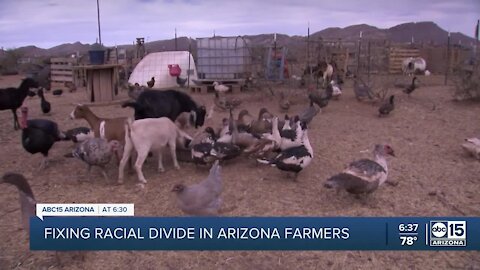 Two Americas: Fixing the racial divide in Arizona Farmers