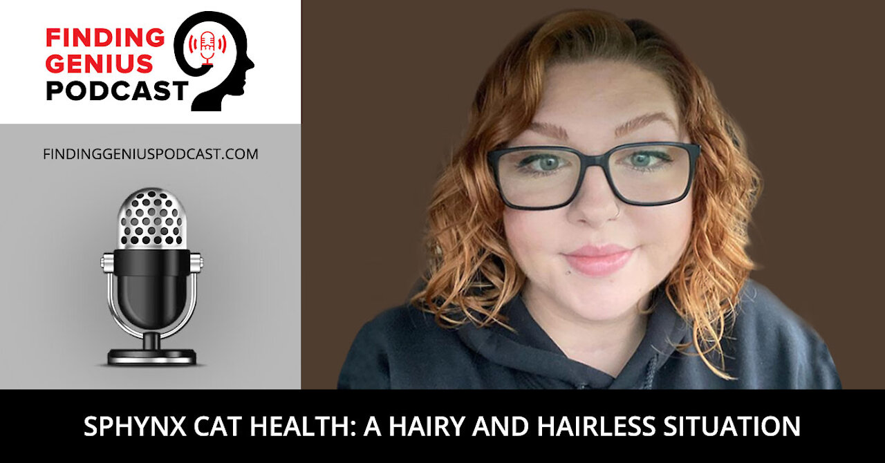 Sphynx Cat Health: A Hairy and Hairless Situation