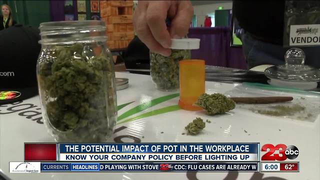 Impact of marijuana in the workplace