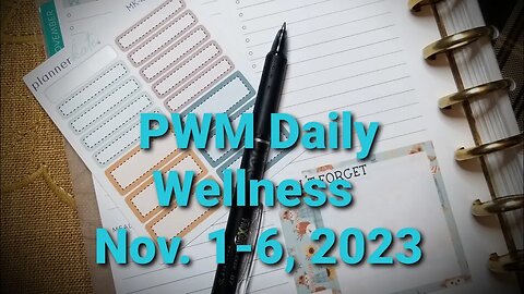 Plan With Me Plum Paper Discbound Wellness- Nov. 1-6, 2023