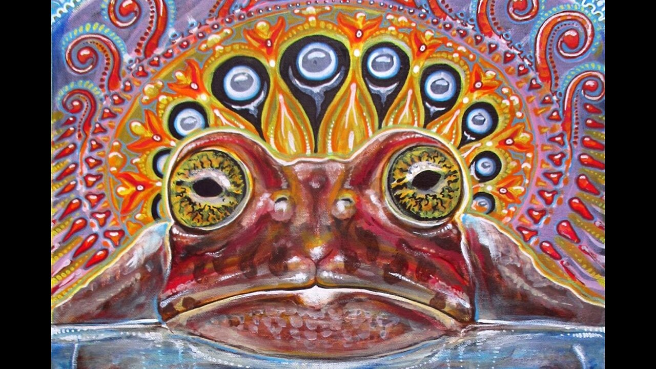 Psychedelic Drug Update