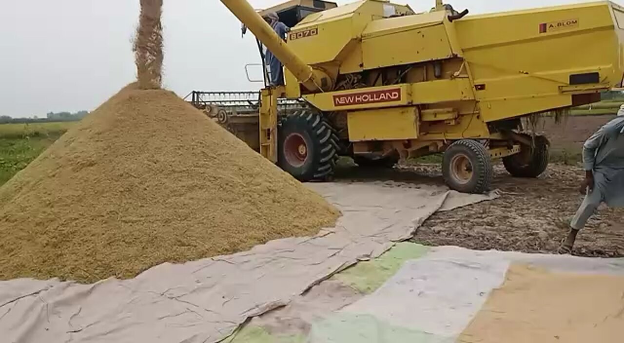 Crop harvesting