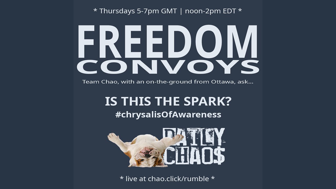 FREEDOM CONVOYS ~ Daily Chaos