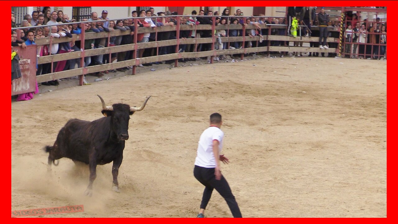 LUCENI ( ZARAGOZA ) TARDE VACAS PLAZA ( DOMINGO 30 ABRIL 2023 ) GANAD.ARRIAZU