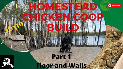 Modern Homestead Chicken Coop Build Part 1 | 16ft by 16Ft Coop | first outbuilding on the homestead