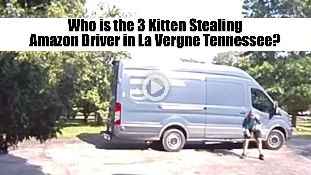 Who is the 3 Kitten Stealing Amazon Driver in La Vergne Tennessee?