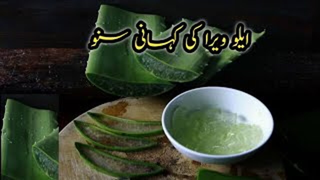 Aloe vera ki Kahani || benefit of aloe Vera || ایلو ویرا کے بےشمار فوائد