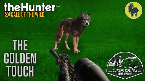 The Golden Touch, Cuatro Colinas | theHunter: Call of the Wild (PS5 4K)