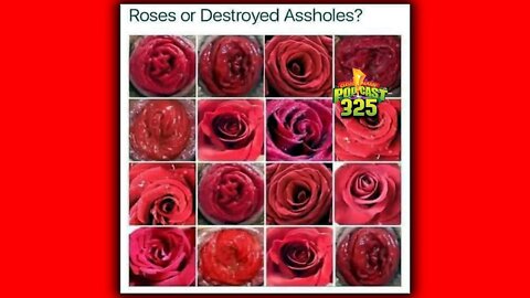 Roses Or Prolapse - Clever Name Podcast #325