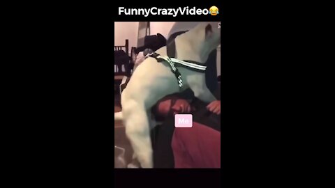 Mr FunnyCrazyVideo😂 Just Incredible Video Funny and Crazy #Like Follow for Follow 🥰