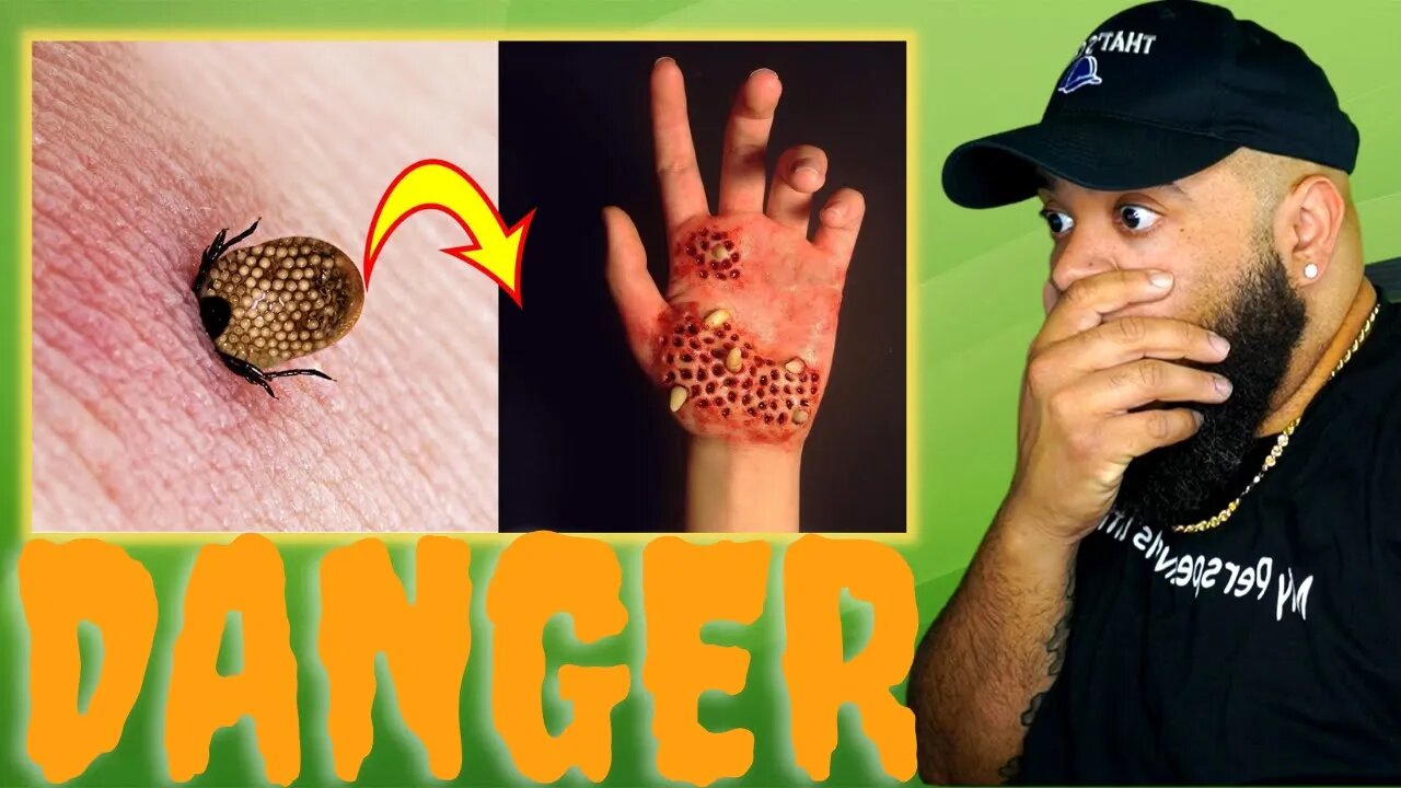 Most DANGEROUS Bugs Around The World!!!